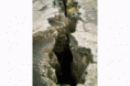 /album/galeria-de-fotos/slogan-gif1/
